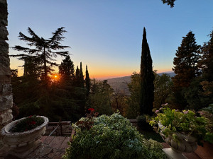 Europe 2024 Picks - 38 of 55